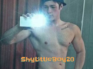 ShyLittleBoy20