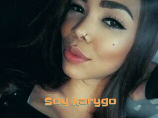 Soy_karygo