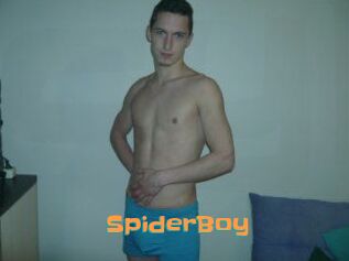 SpiderBoy