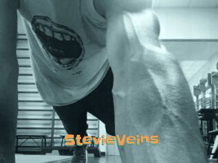 StevieVeins