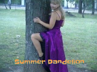 Summer_Dandelion