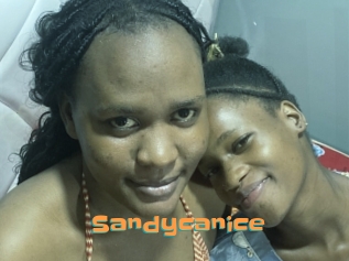 Sandycanice