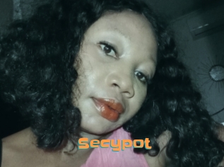 Secypot