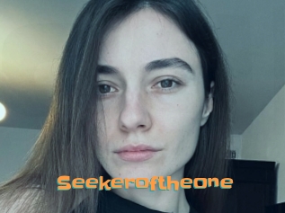 Seekeroftheone