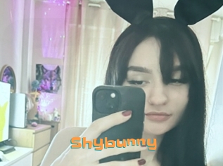 Shybunny