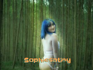 Sophiesatiny