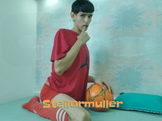 Steilormuller