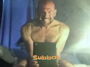 Subbot