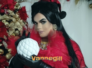 Vannegill