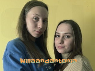 Willaandantonia