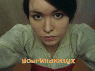 YourWildKittyX