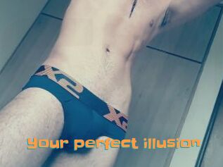 Your_perfect_illusion