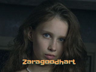 Zaragoodhart