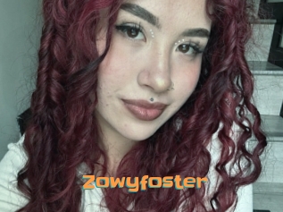 Zowyfoster